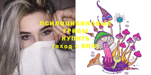 винт Алексин