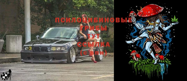 винт Алексин